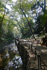 等々力渓谷散歩