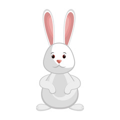 cute rabbit easter character vector illustration design