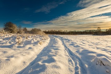 Snow covered polish landscape with rural road near fields and forest.