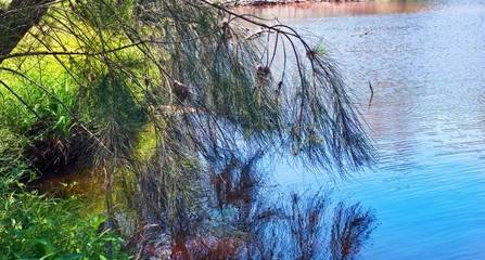 Reflection on lake