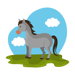 horse animal farm in the field vector illustration design