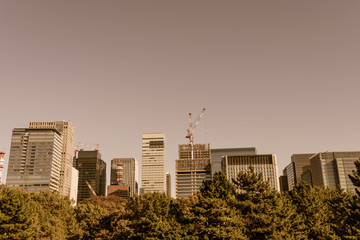 Obraz premium Tokyo, Japan cityscape ( Filtered image processed vintage effect