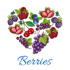 Heart shape of vector sketched berries