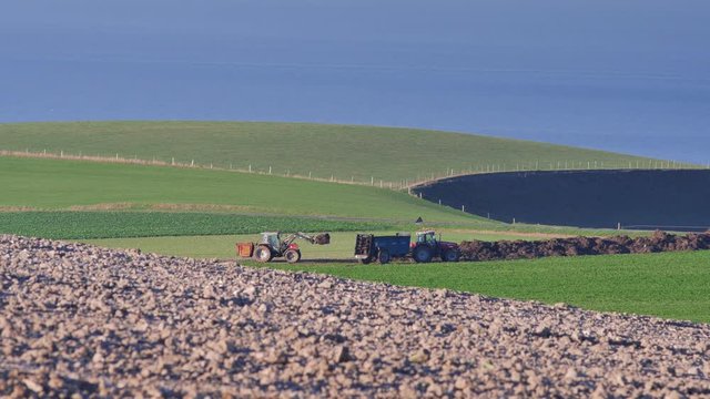 &eacute;pandage dans les champs