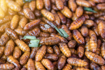 Fried Insect street food of Thailand