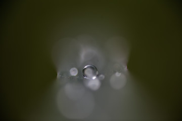 Water Drop Abstract #3