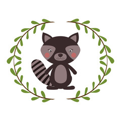 Raccoon cartoon icon. Animal cute life and nature theme. Isolated design. Vector illustration