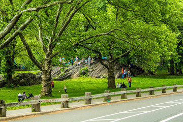 Fun in Centeral Park 