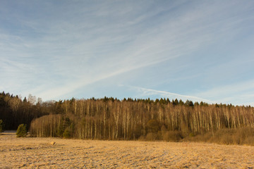 Amazing landscape. Beautiful winter over light icy field