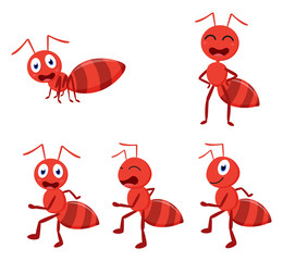 Cute ant cartoon cartoon collection set