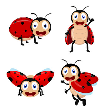 Cute Ladybug cartoon cartoon collection set