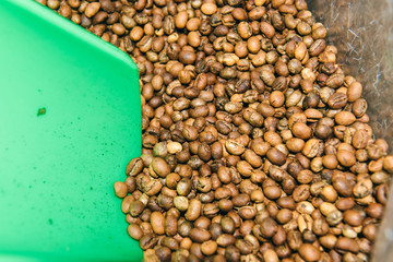 coffee beans for sale in store