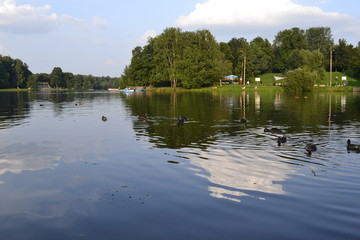Озеро с утками в парке Кузьминки