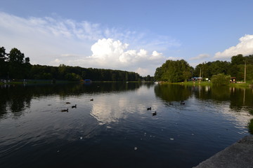 Озеро с утками в парке Кузьминки