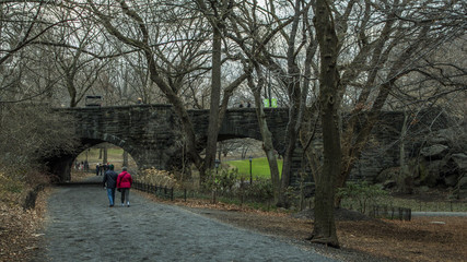 Fototapeta na wymiar Bridge in park