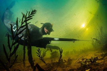 Underwater shot of the hunter with speargun in a lake with dirty water
