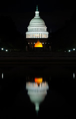 Fototapeta premium Capitolio - Washington DC