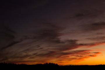 Orange Paintbrush Sunset