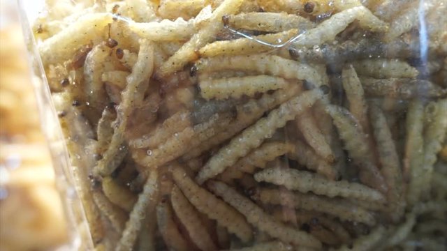 Fried bamboo worms packed in Thai local market. Weird bugs food of Thailand
