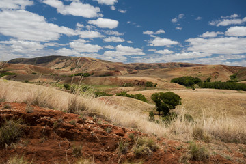 Traditional Madagascar highland landscape