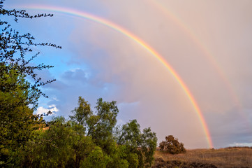 Naklejka premium Rainbows