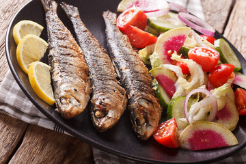 Mediterranean cuisine: grilled sardines with fresh vegetable salad close-up. horizontal