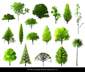 Photo sur Plexiglas Arbres La saison estivale de l& 39 arbre à feuilles vertes est définie pour l& 39 aménagement paysager de l& 39 architecture, arbre 3D isolé sur blanc No.2