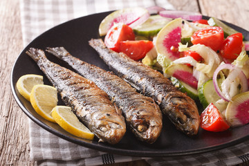 Grilled sardines with fresh salad of cucumber, radish, tomato, onion close-up. horizontal