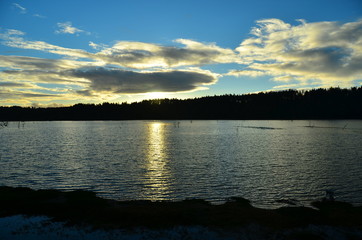 Nisqually Wildlife Refuge