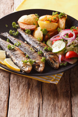 Grilled sardines with roasted potatoes and fresh salad closeup. vertical