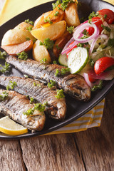 Fried sardines with potatoes and fresh vegetable salad close-up. Vertical