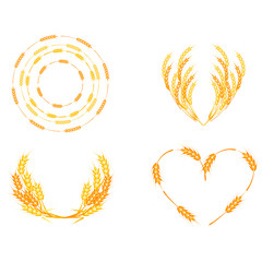 Wheat spikelets vector illustration.