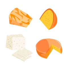 Cheese types. Modern flat style realistic vector illustration icons.