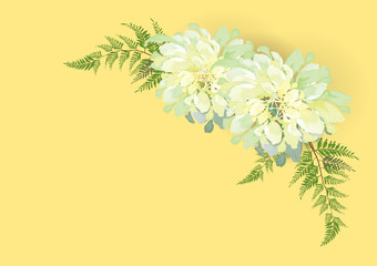 white  flowers with fern leaves  watercolor brush desing for object or   background vector illustration