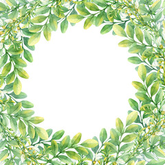 Naklejka premium Isolated watercolor frame with white acacia