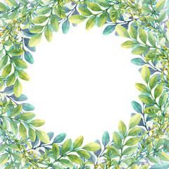 Isolated watercolor frame with white acacia