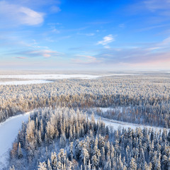 Top view of forest river in winter