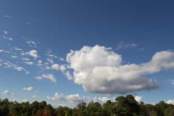 Clouds over Trees #1