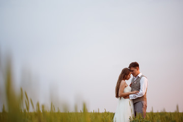 Beautiful wedding couple posing at the nature