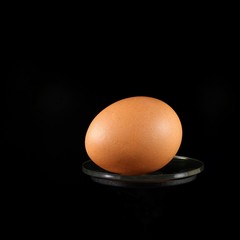 Chicken egg on a black background.
