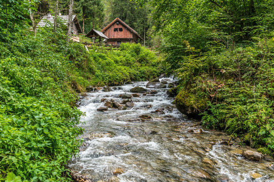 Wildbach im Wald und Mühlen in den Auen