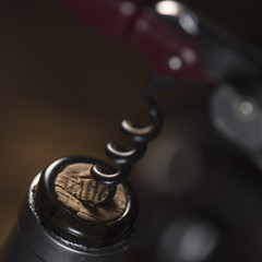 Opening a wine bottle with corkscrew, white background