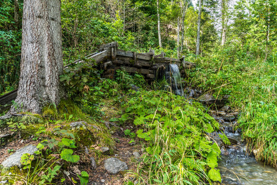 Wasserrinne für Wasserversorgung aus dem 19. Jahrhundert in einem alpinen Waldstück