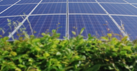 Fototapeta premium solar panels beautiful landscape