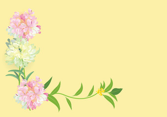 pink flowers frame or border  background vector illustration