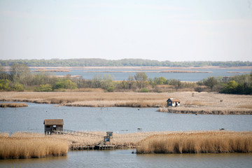 Houses on the lake