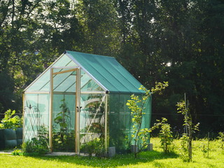 little greenhouse © flucas