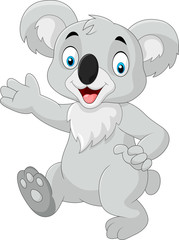 Cartoon funny koala isolated on white background

