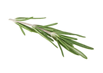 Fototapeta premium Rosemary isolated on white background, closeup