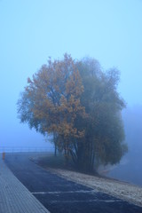 Droga w porannej mgle.